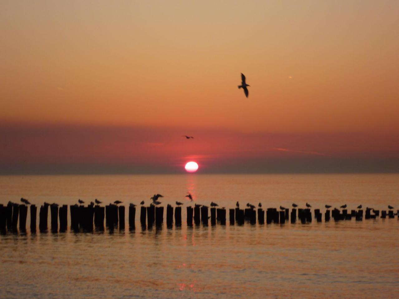Prachtig Appartement Dichtbij Strand Do07 ดอมเบิร์ก ภายนอก รูปภาพ